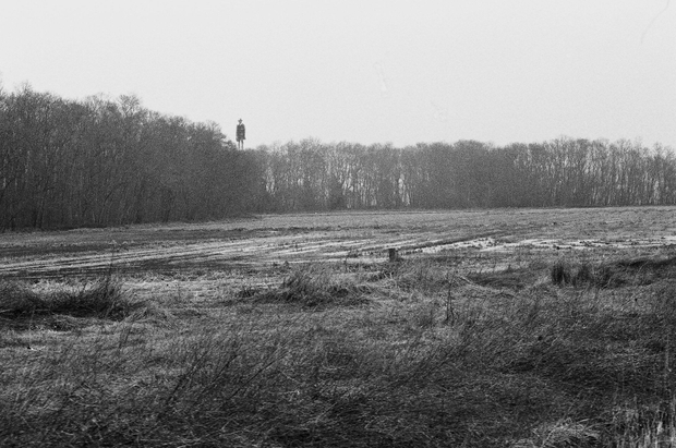 untitled-VIII