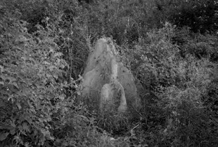 anthill
