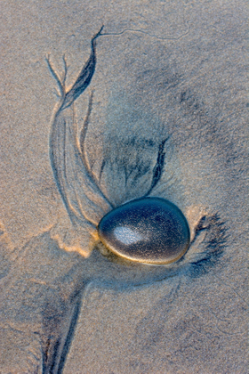 Of Sand, Sea and Rock 01