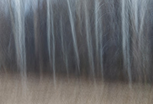 Fields Edge