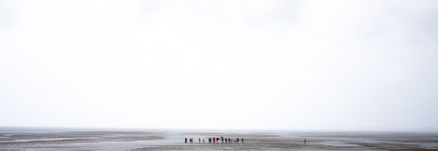 Following the leader