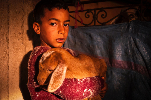 Aziz with a lamb