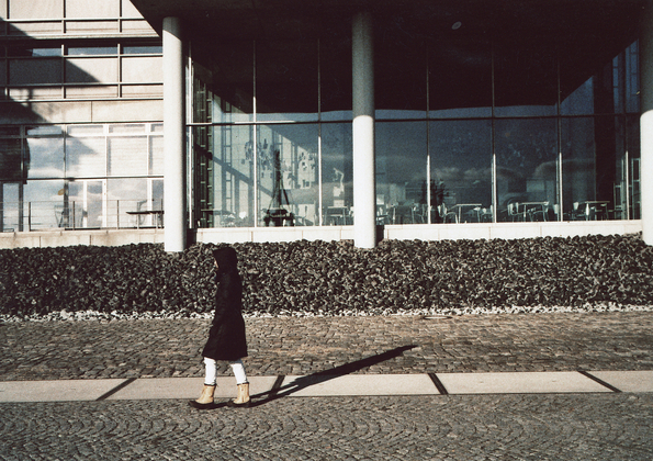 shizo insight 01