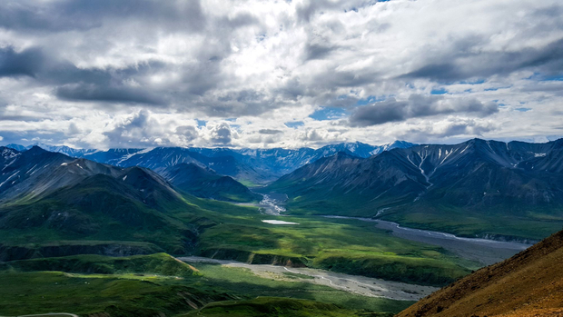 Alaskan Beauty