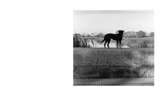 By the river (1)