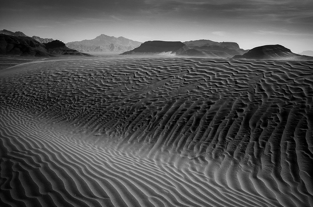 SHADOWS OF SILENCE