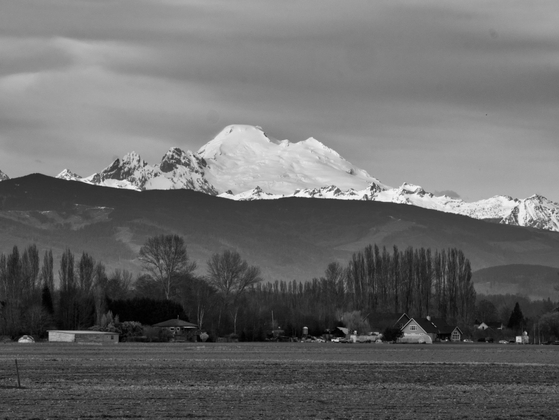 Skagit county icon