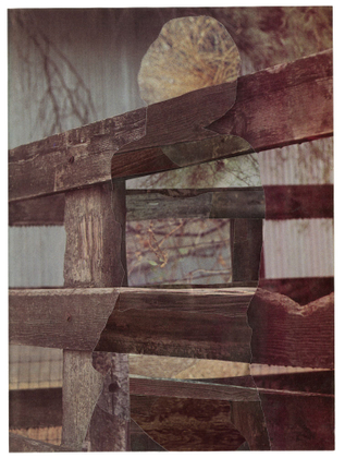 Trace (fence)