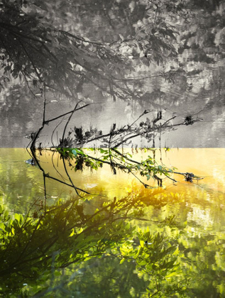 Awakening© Carolyn Meltzer