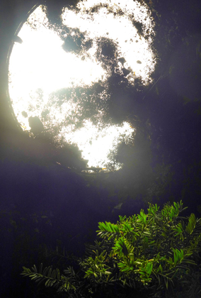 Moon cloud