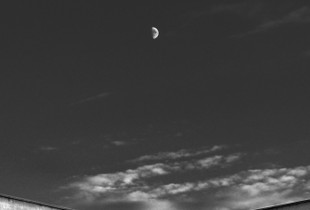 Half