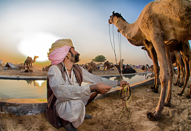 Camel Herder watering his Camel