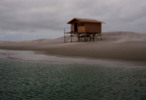 Un desierto de medusas