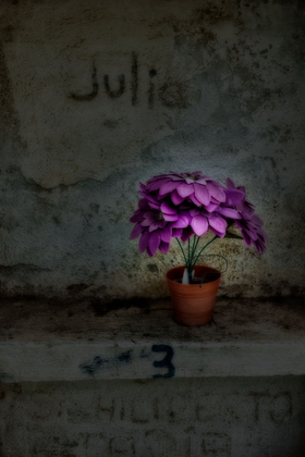 Las flores para los muertos #1