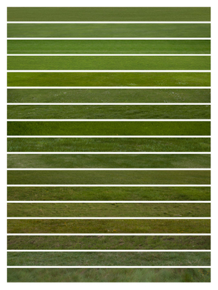 New Global Landscapes - English Grasses