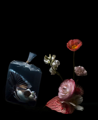 In Dreams