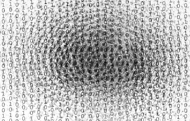 data 1