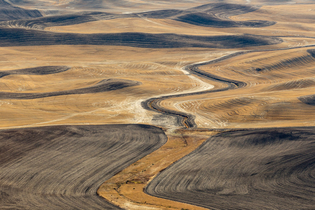 Palouse, WA. Study #46                        47 1.9297N - 117 17.8622W