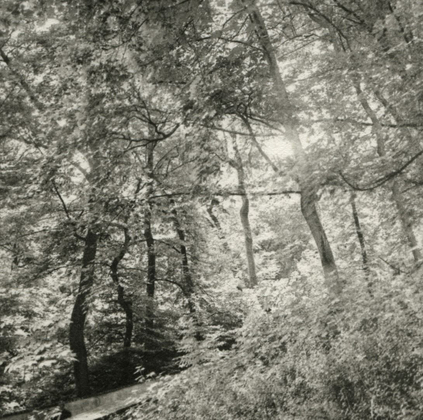 Making My Way Down © Erin Malone