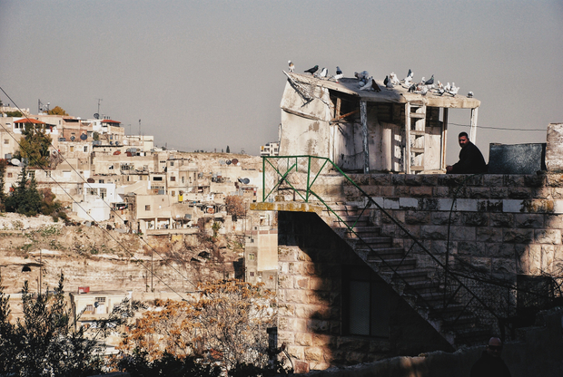 Pigeon's Journeys, Amman, Jordan