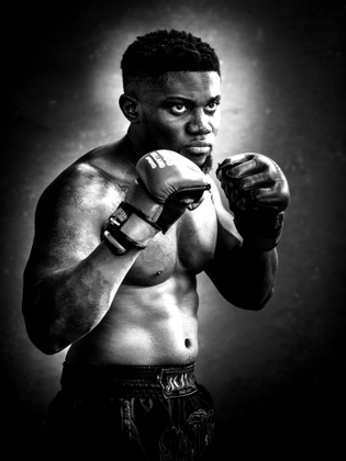 The boxer