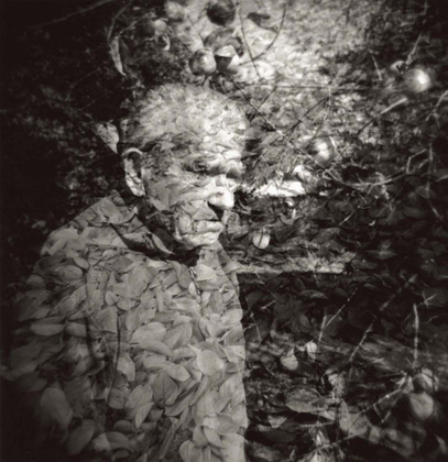 Fallen Leaves