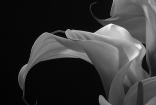 The conversation -1.  An Edgy Feeling