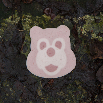 Billy Bear