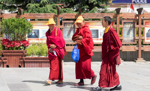 Young Buddhist Monks