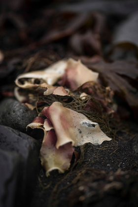 Iceland Macro Series #3