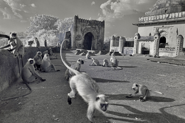 Ranthambore Fort