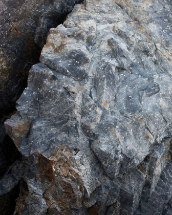 Granite Zenolith
