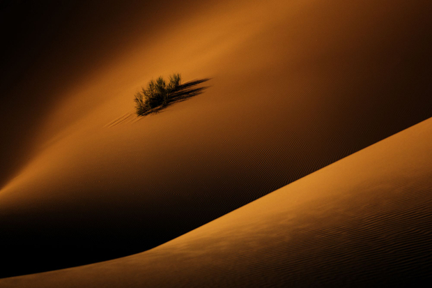 shapes of  desert 1