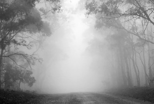 Misty Mountain Road