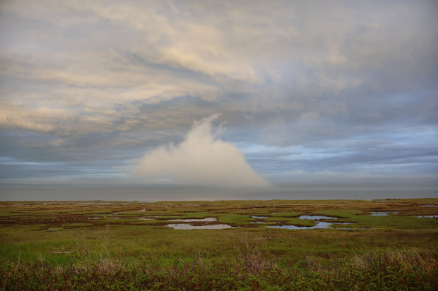 Meandering Fog