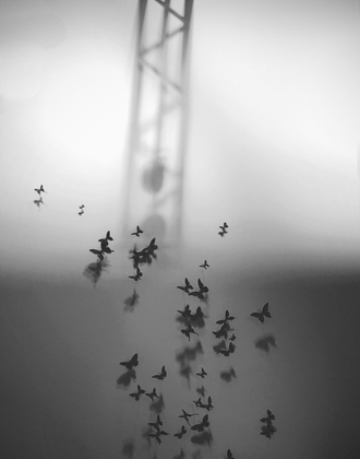 Transported thru time by the butterflies.