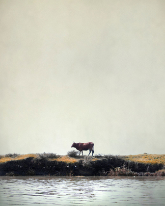 Separation