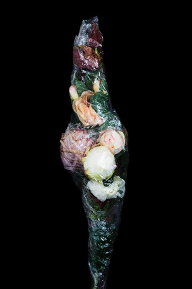 Placenta