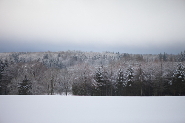 Winter Meditation