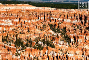 <a href="https://andrewprokos.com/photo/bryce-point-landscape-1/">Bryce Point Landscape #1, Bryce Canyon</a>
