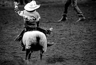 Mutton Buster