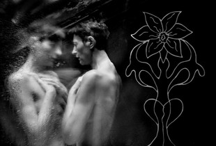 Narcissus