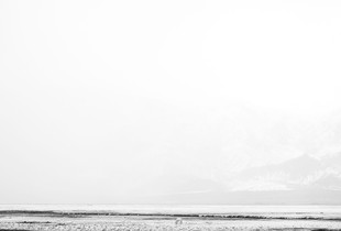 Snow Field Variation