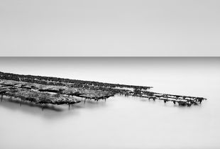 Wabi Sabi