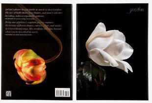 Front and back cover of photographer joSon  book "joSon Intimate Portraits of Nature"