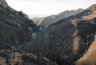Ocean View Point (2252)