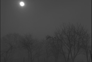 Darkness & Light 3