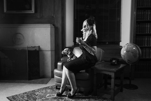 Dog Noir The Library