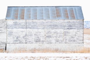 wood (number 1)