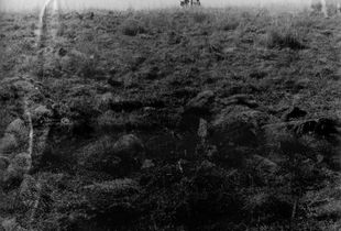 Spioenkop I